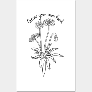 Grow your own food Murnong Posters and Art